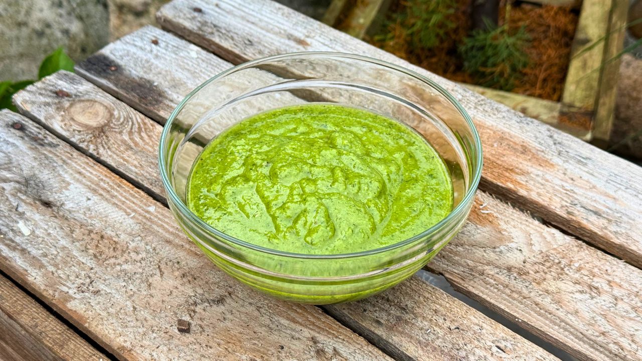 Grünes Pesto im Mini-Standmixer